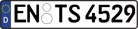 EN-TS4529