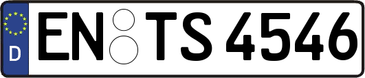 EN-TS4546