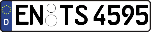 EN-TS4595