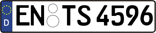 EN-TS4596