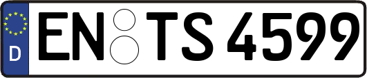 EN-TS4599