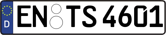 EN-TS4601