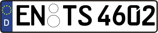 EN-TS4602