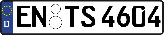 EN-TS4604
