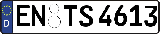 EN-TS4613