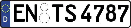EN-TS4787