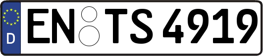 EN-TS4919