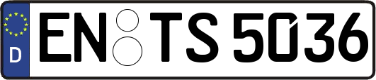 EN-TS5036