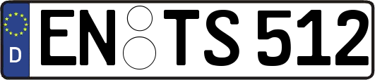 EN-TS512