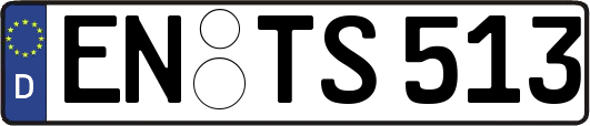 EN-TS513