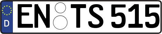EN-TS515