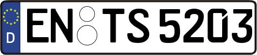 EN-TS5203