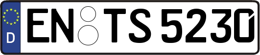EN-TS5230