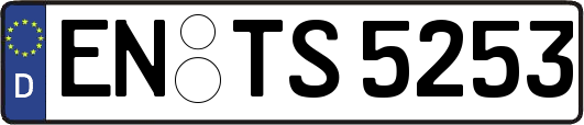 EN-TS5253