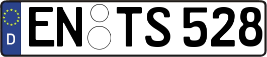 EN-TS528