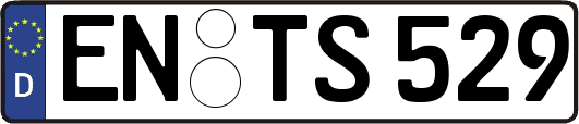 EN-TS529