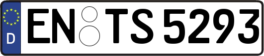 EN-TS5293