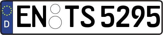 EN-TS5295