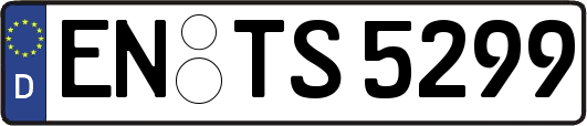 EN-TS5299