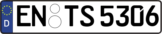 EN-TS5306
