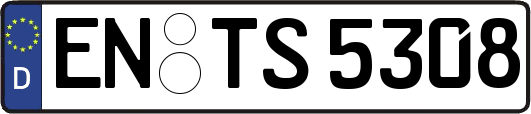 EN-TS5308