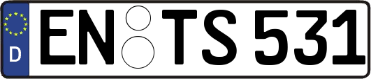 EN-TS531