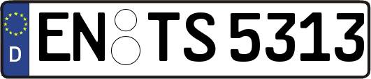 EN-TS5313