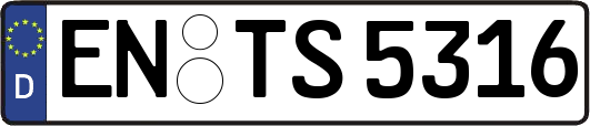 EN-TS5316