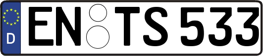 EN-TS533