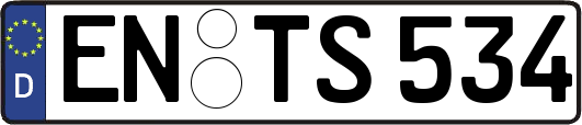 EN-TS534