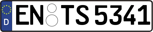 EN-TS5341