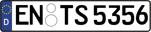 EN-TS5356