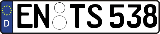 EN-TS538