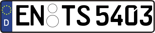 EN-TS5403