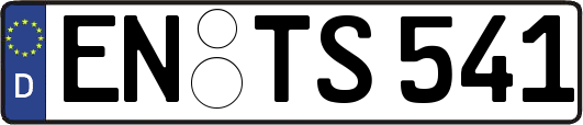 EN-TS541