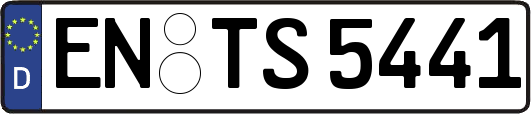 EN-TS5441