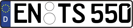EN-TS550