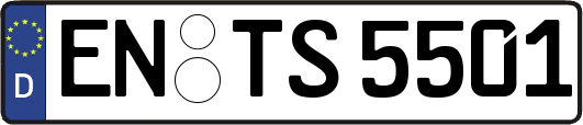 EN-TS5501