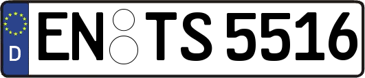 EN-TS5516