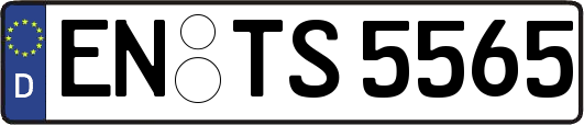 EN-TS5565