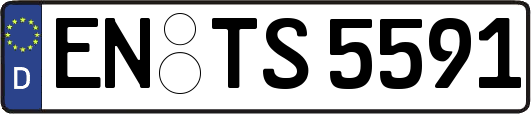 EN-TS5591