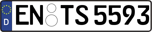 EN-TS5593