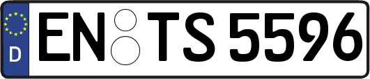 EN-TS5596