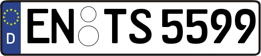 EN-TS5599