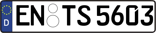 EN-TS5603