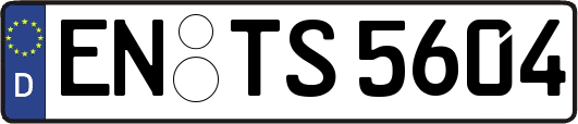 EN-TS5604