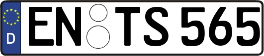 EN-TS565