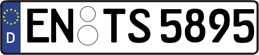 EN-TS5895