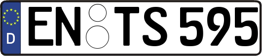 EN-TS595