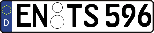 EN-TS596
